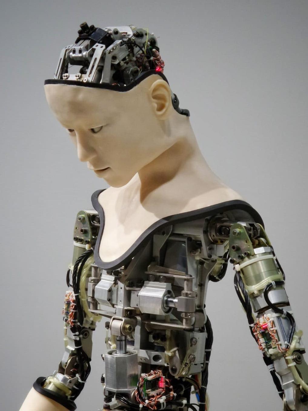 Quali sono i requisiti formativi e di abilità per lavorare nel campo dell'intelligenza artificiale e della robotica?