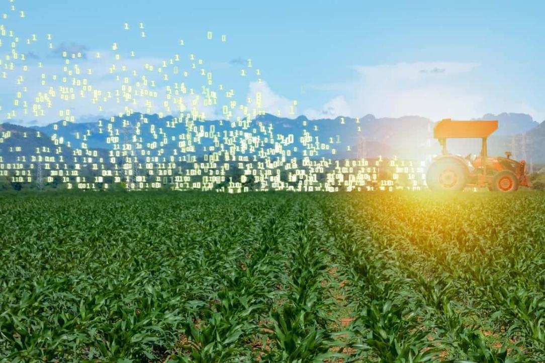 What are the Economic Implications of AI in Agriculture for Farmers and Consumers?