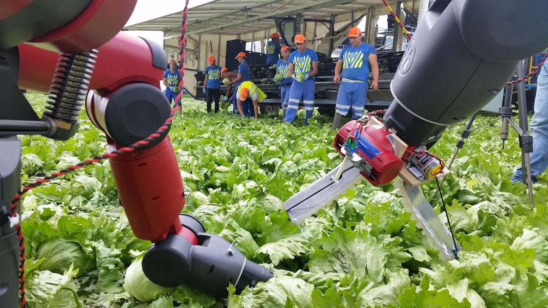 AI-Powered Agricultural Robots: The Future of Labor in Farming
